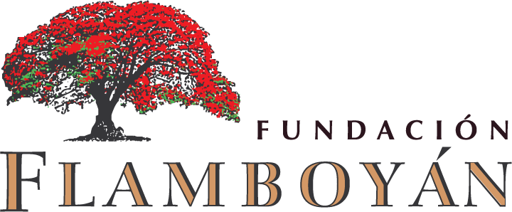 Flamboyan Foundation