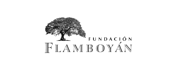 Fundación Flamboyán